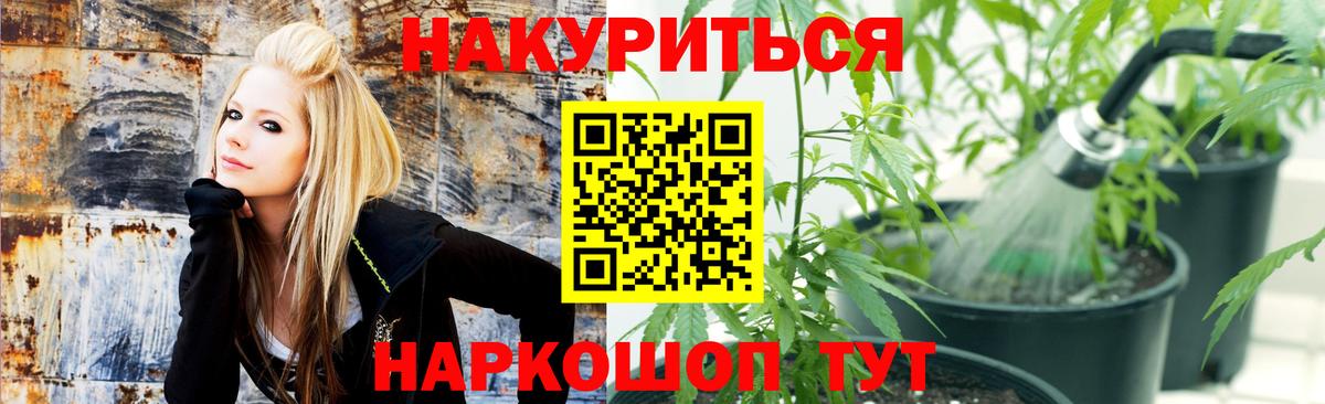 Шишки марихуана семена Кирово-Чепецк